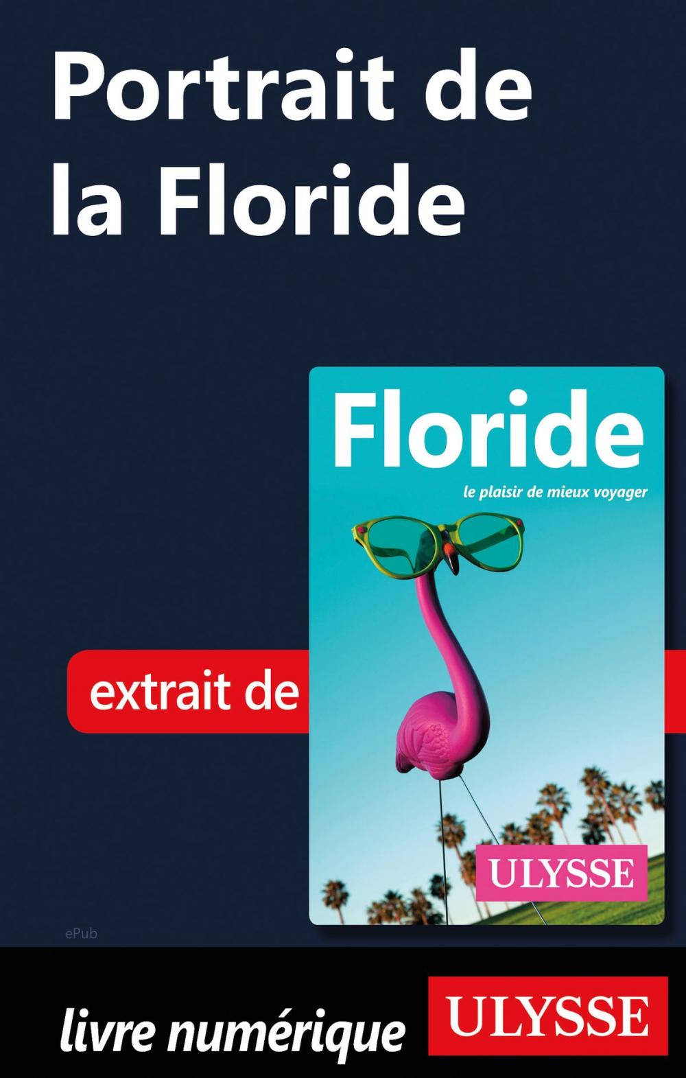 Big bigCover of Portrait de la Floride