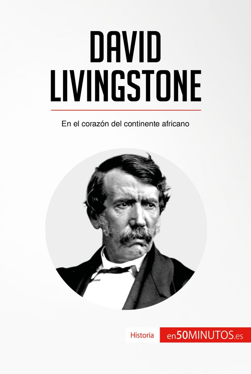 Big bigCover of David Livingstone