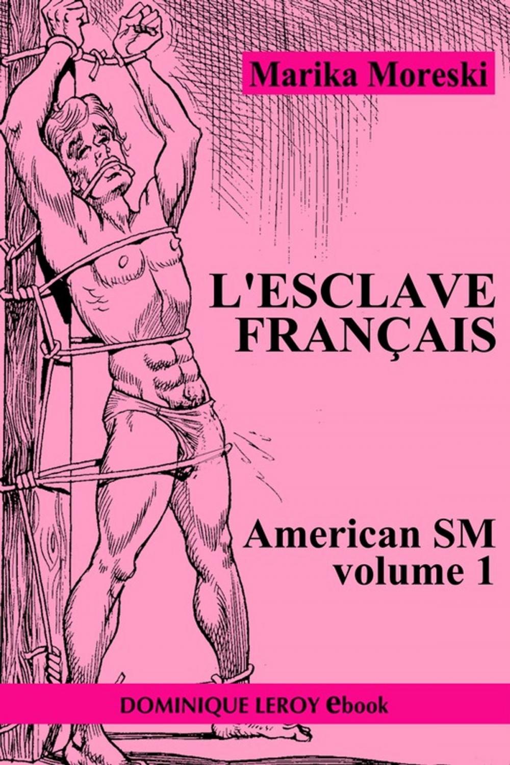 Big bigCover of L'Esclave français