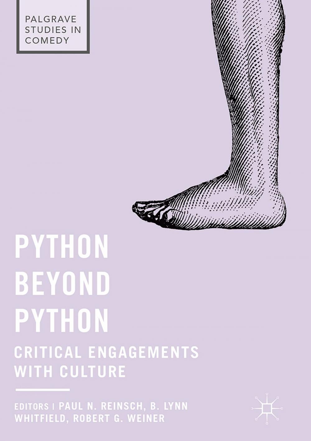 Big bigCover of Python beyond Python