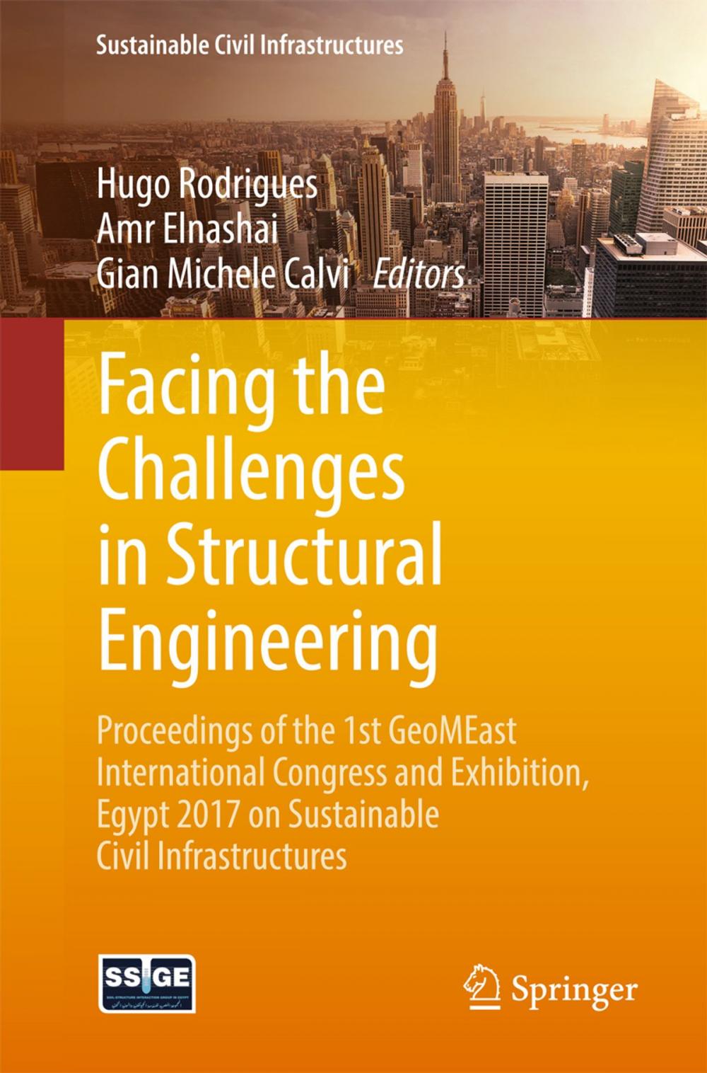 Big bigCover of Facing the Challenges in Structural Engineering