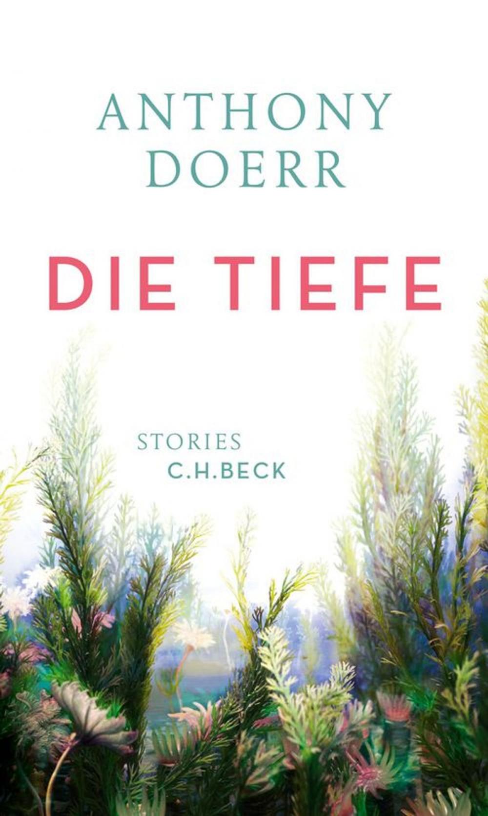 Big bigCover of Die Tiefe