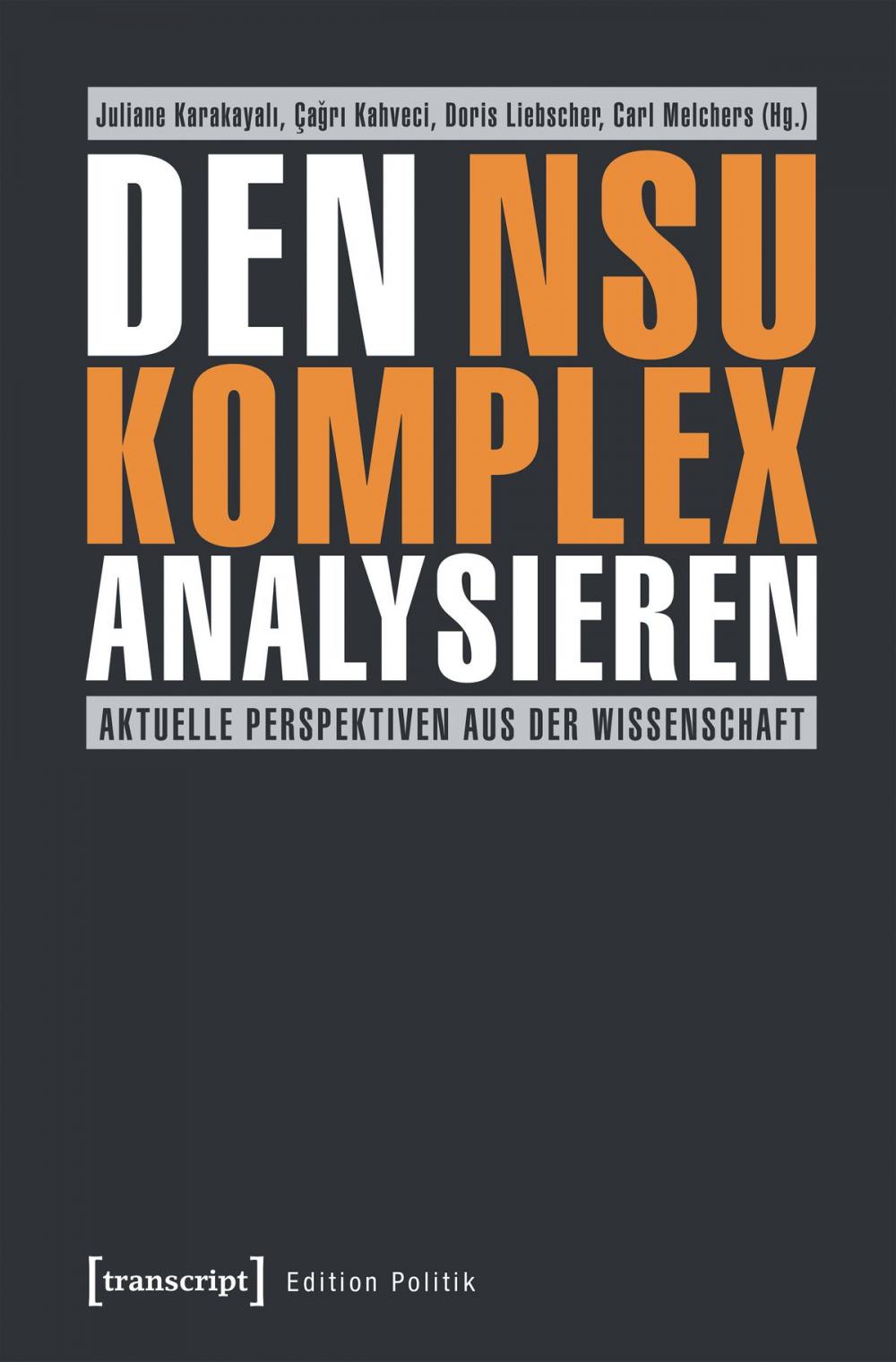 Big bigCover of Den NSU-Komplex analysieren