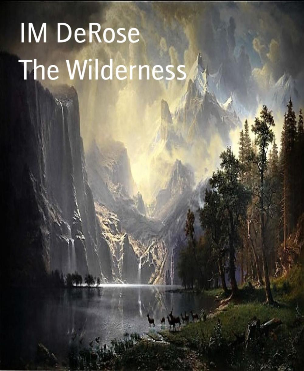 Big bigCover of The Wilderness