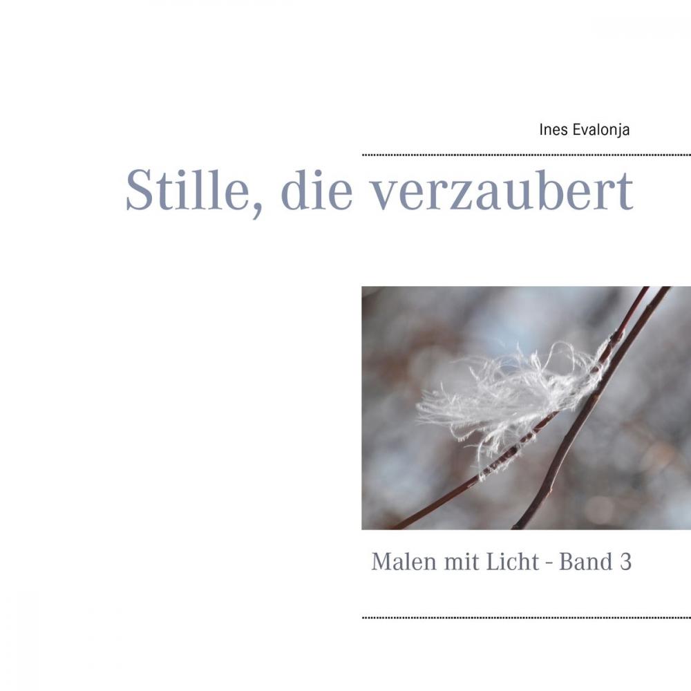 Big bigCover of Stille, die verzaubert