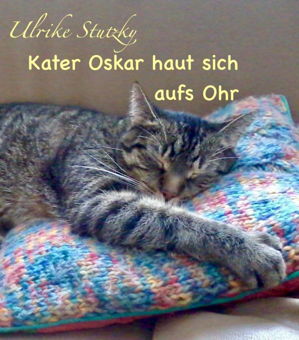 Big bigCover of Kater Oskar haut sich aufs Ohr