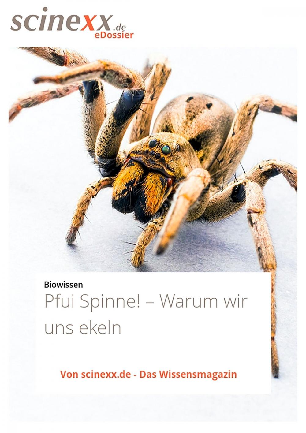 Big bigCover of Pfui Spinne!