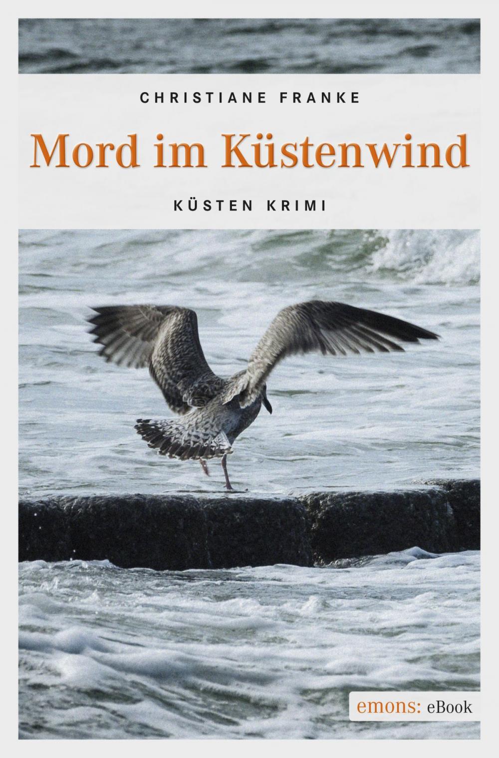 Big bigCover of Mord im Küstenwind