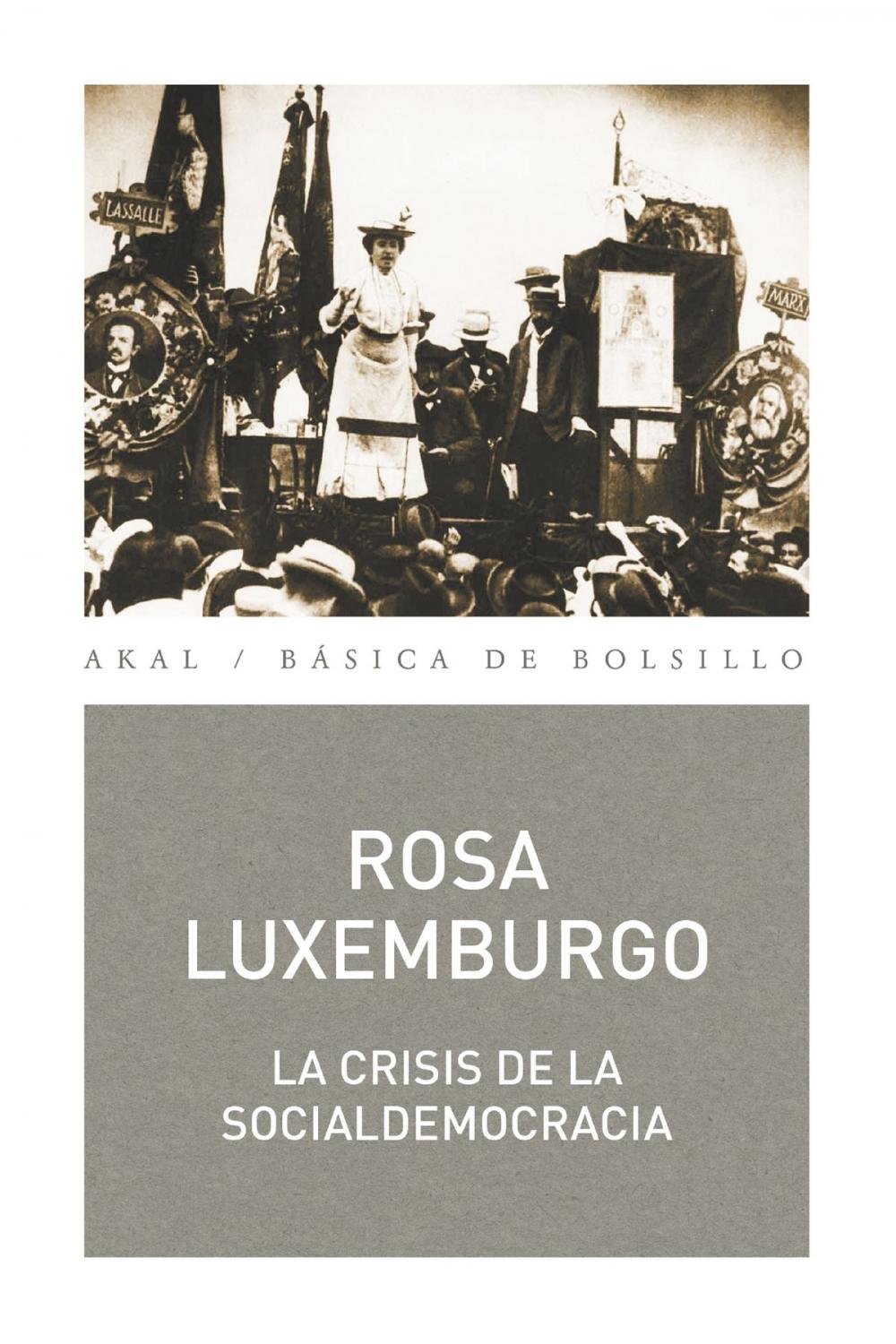 Big bigCover of La crisis de la socialdemocracia