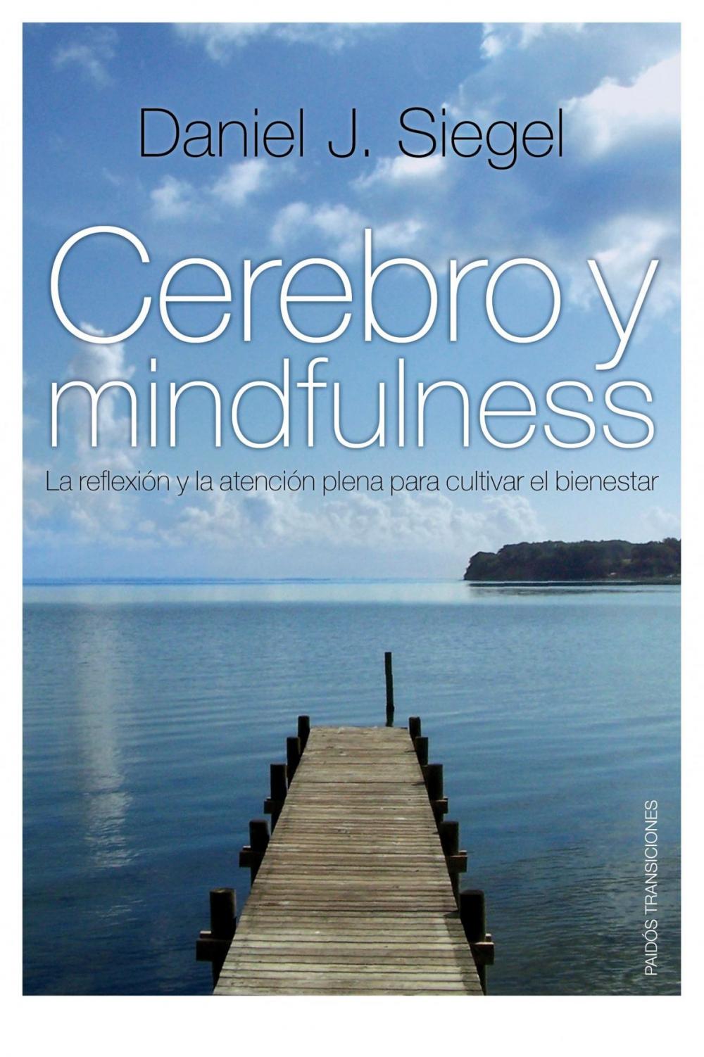 Big bigCover of Cerebro y mindfulness