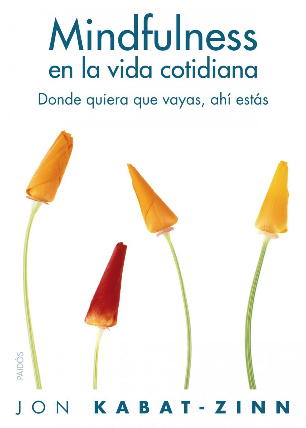 Big bigCover of Mindfulness en la vida cotidiana