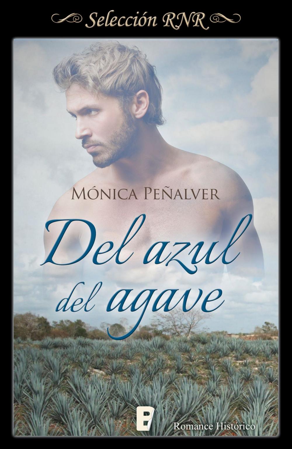 Big bigCover of Del azul del agave