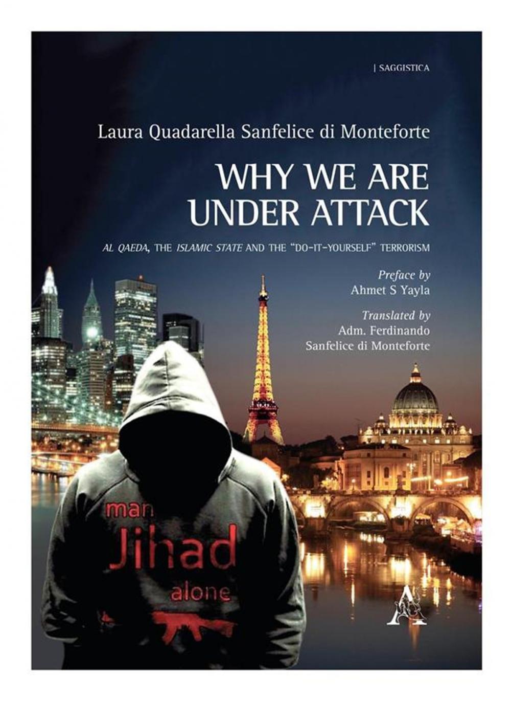 Big bigCover of Why we are under attack