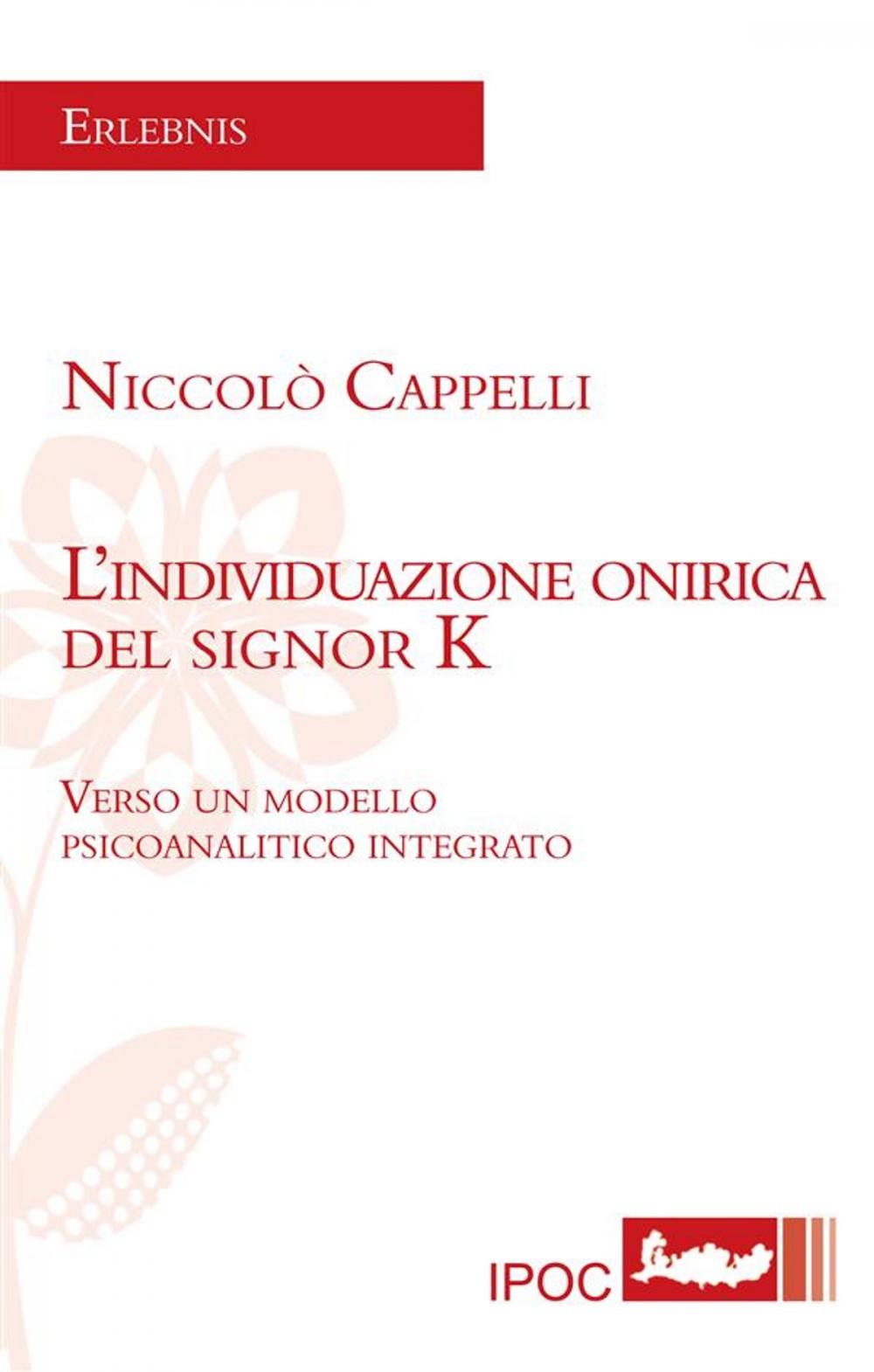 Big bigCover of L'individuazione onirica del signor K