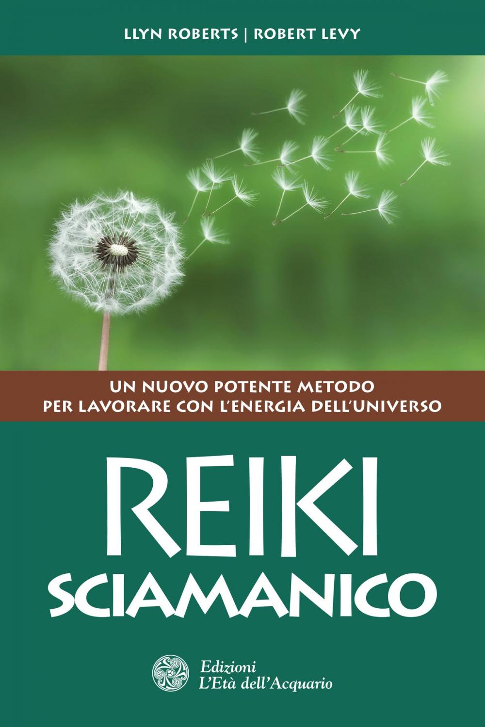 Big bigCover of Reiki sciamanico