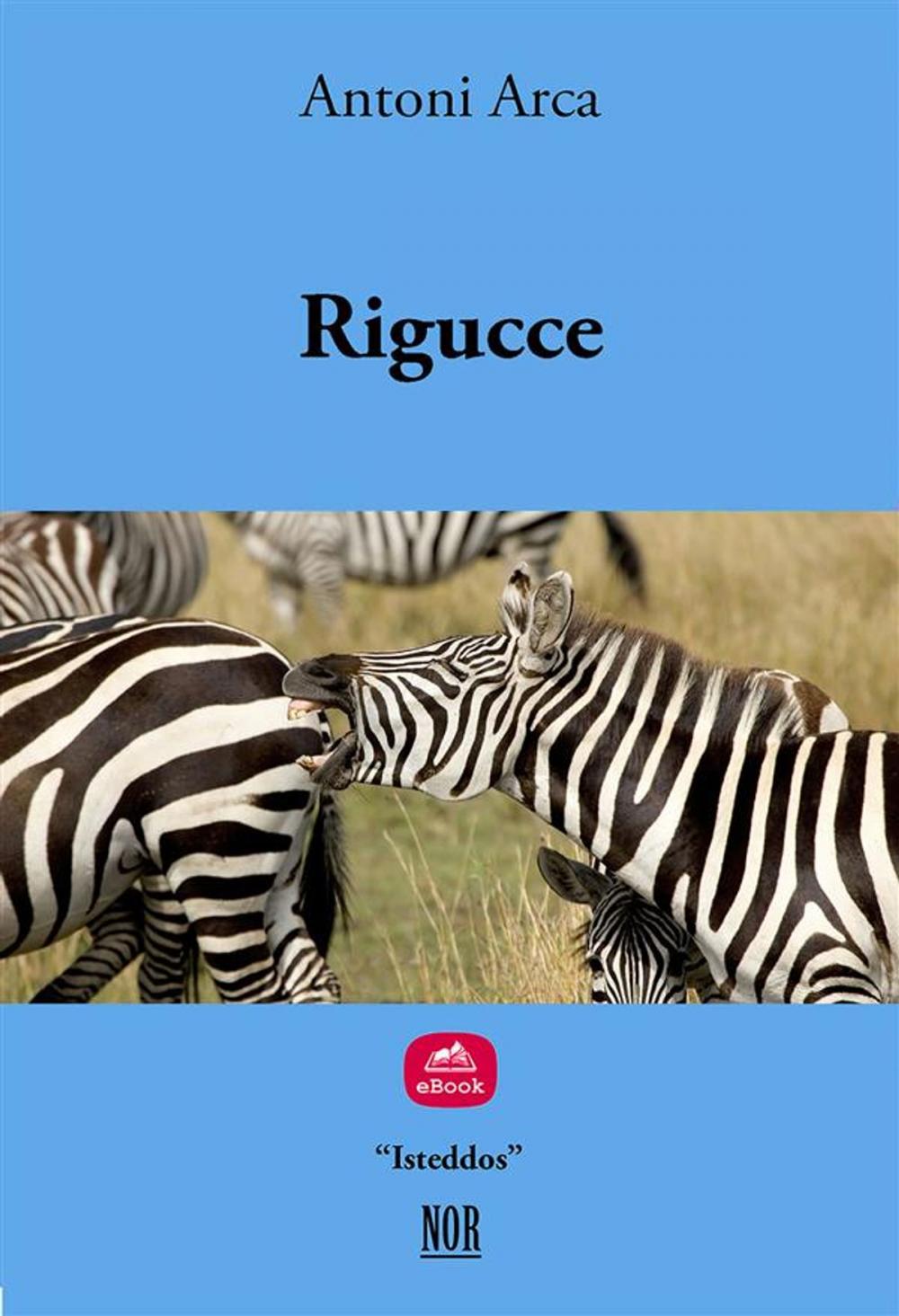 Big bigCover of Rigucce