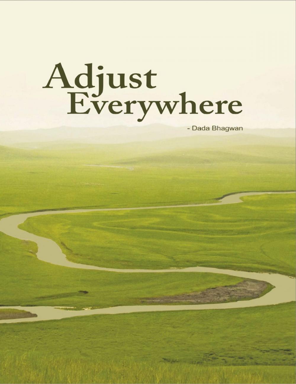 Big bigCover of Adjust Everywhere