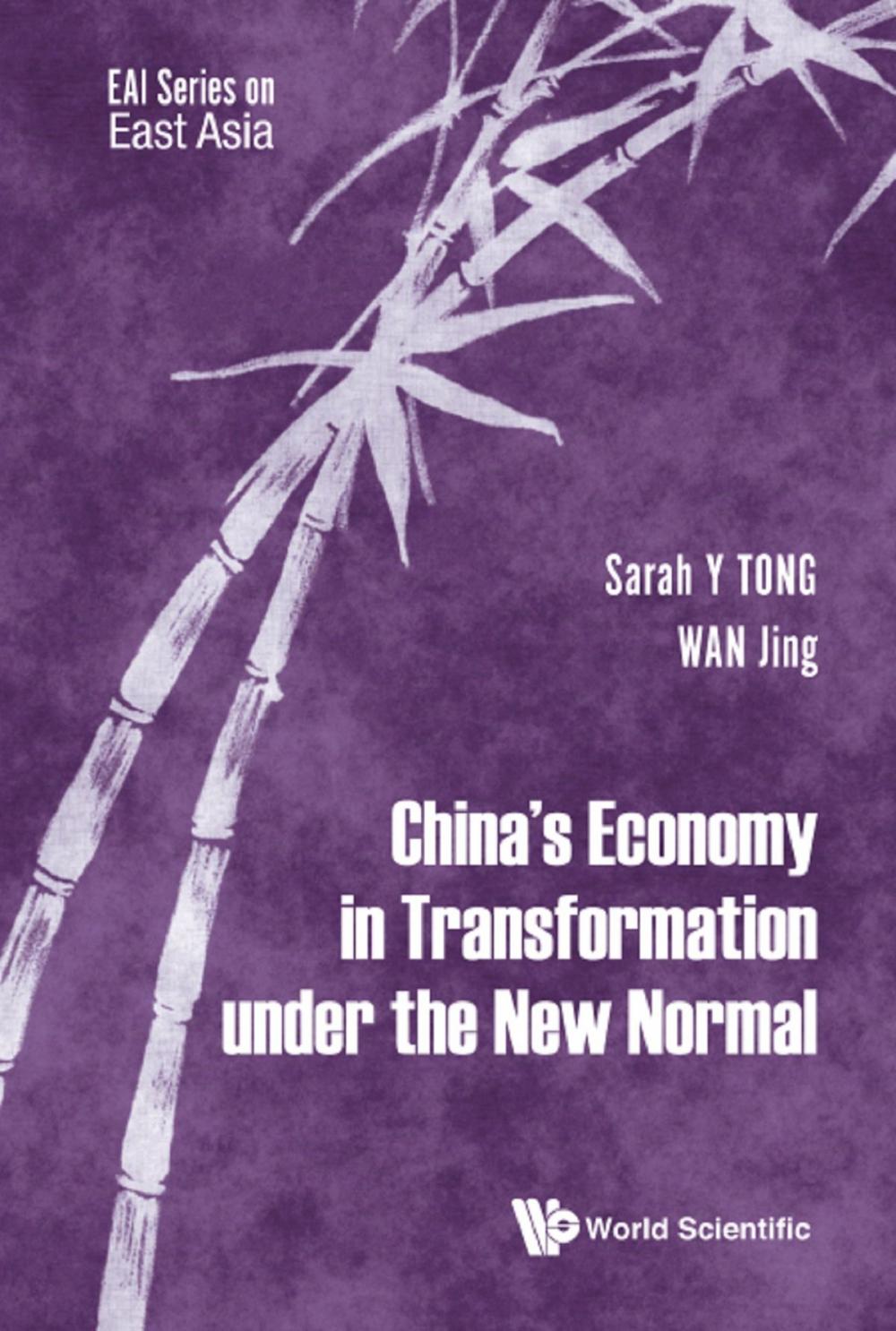 Big bigCover of China's Economy in Transformation under the New Normal