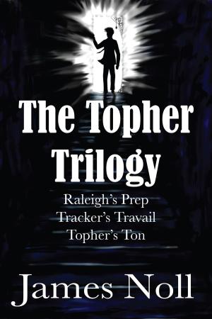 bigCover of the book The Topher Trilogy by 
