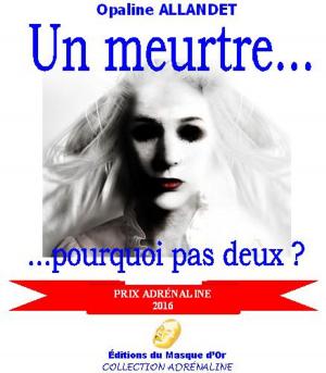 bigCover of the book Un meurtre... pourquoi pas deux ? by 