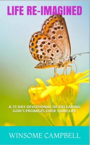 Cover of Life Re-Imagined: A 31 Day Devotional of Declaring God's Promises Over Your Life