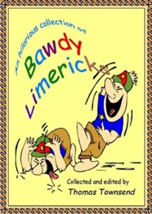 Cover of the book Bawdy Limericks by Cass Alexander