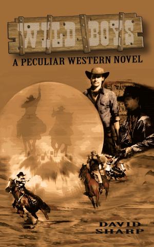 Book cover of Wild Boys - A Peculiar Western Novel