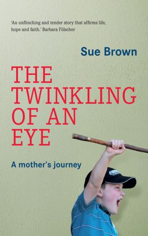 Cover of the book The Twinkling of an Eye by Deon Meyer