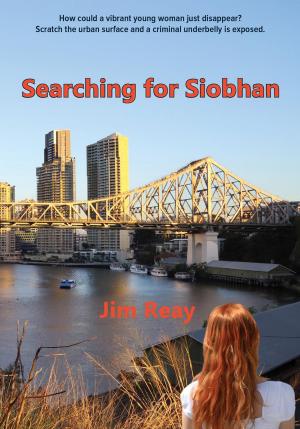 Book cover of Searching for Siobhan