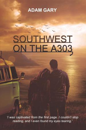Cover of the book Southwest on the A303 by Rodney Ohebsion