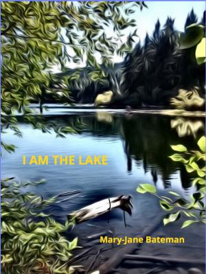 Book cover of I Am The Lake