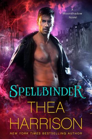 Cover of the book Spellbinder by Ellie Saxx