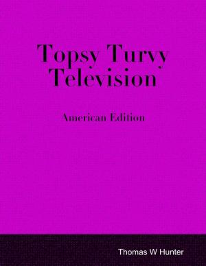 Cover of the book Topsy Turvy Television - American Edition by Tina Long