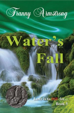 Cover of the book Water's Fall by Christine L Stevenson