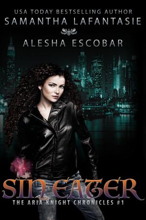 Cover of the book Sin Eater (The Aria Knight Chronicles Book 1) by Bryan Cassiday
