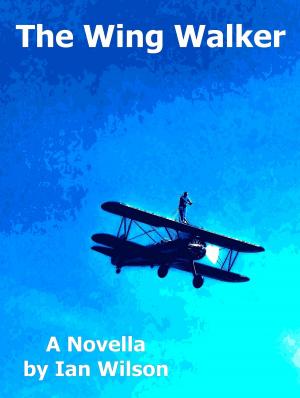 Book cover of The Wing Walker