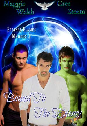 Cover of Bound To The Enemy Eternal Flames Maddox 3