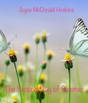 Book cover of The Second Day of Summer