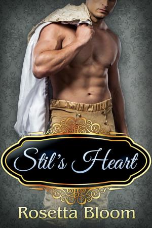 Cover of the book Stil's Heart: A Rumpelstiltskin Tale by Allison Graham
