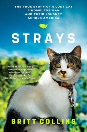 Cover of the book Strays by Posie Graeme-Evans