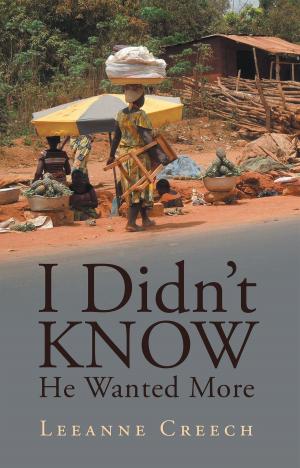 Cover of the book I Didn’T Know He Wanted More by David E. Vitt