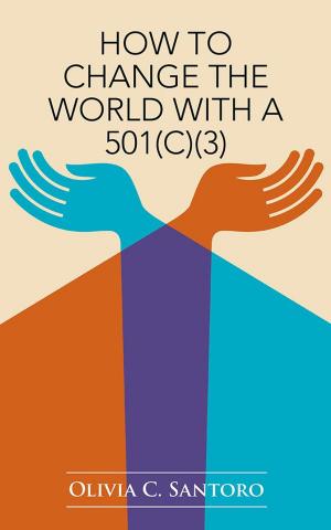 Cover of the book How to Change the World with a 501(C)(3) by Phyllis Kathryn Barson