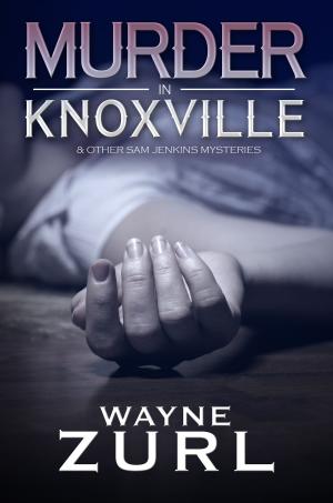 Cover of the book Murder in Knoxville by JT Adeline