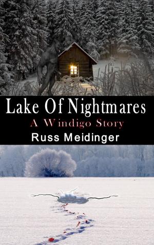 bigCover of the book Lake of Nightmares by 