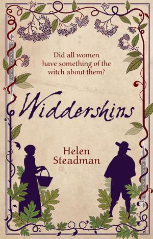 Cover of the book Widdershins by Lawrence Sail