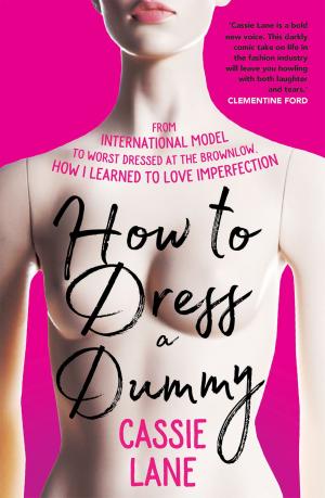 Cover of the book How to Dress a Dummy by Shaun Micallef