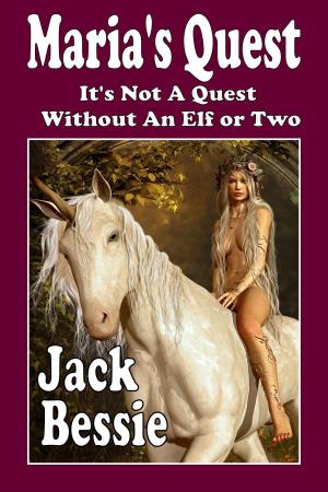 Cover of the book Maria's Quest by Jack Bessie