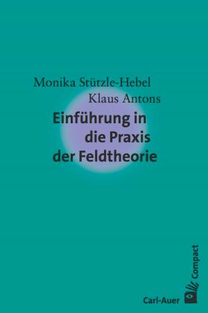 Cover of the book Einführung in die Praxis der Feldtheorie by Humberto R Maturana, Bernhard Pörksen