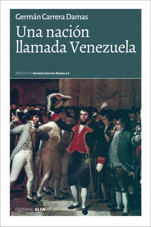 Cover of the book Una nación llamada Venezuela by Miguel Ángel Martínez Meucci