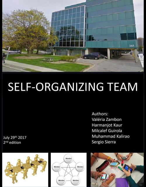 Cover of the book Self Management Team by Milcalef Guirola, Sergio Sierra, Baba Muhammad, Harmanjot Kaur, Valeria Zambon, Valeria Zambon